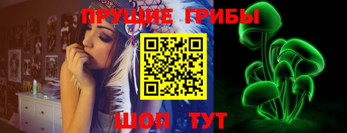 Галлюциногенные грибы GOLDEN TEACHER Магнитогорск